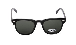 ODVS 17001 1
