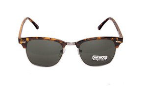 ODVS 17004 1