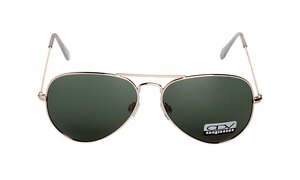 ODVS 15001 1 (Polarized)