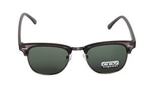 ODVS 17005 2 (Polarized)